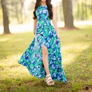 Abel the Label Anthropologie Rumi Maxi Dress NWT Blue Green Sexy Back Size Small